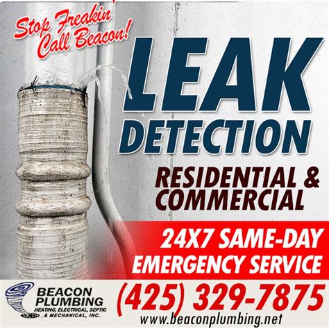 Leak detection services centralia  Website Services
